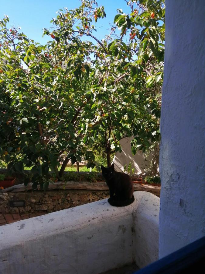 أوليينا B&B Corte San Lussorio المظهر الخارجي الصورة