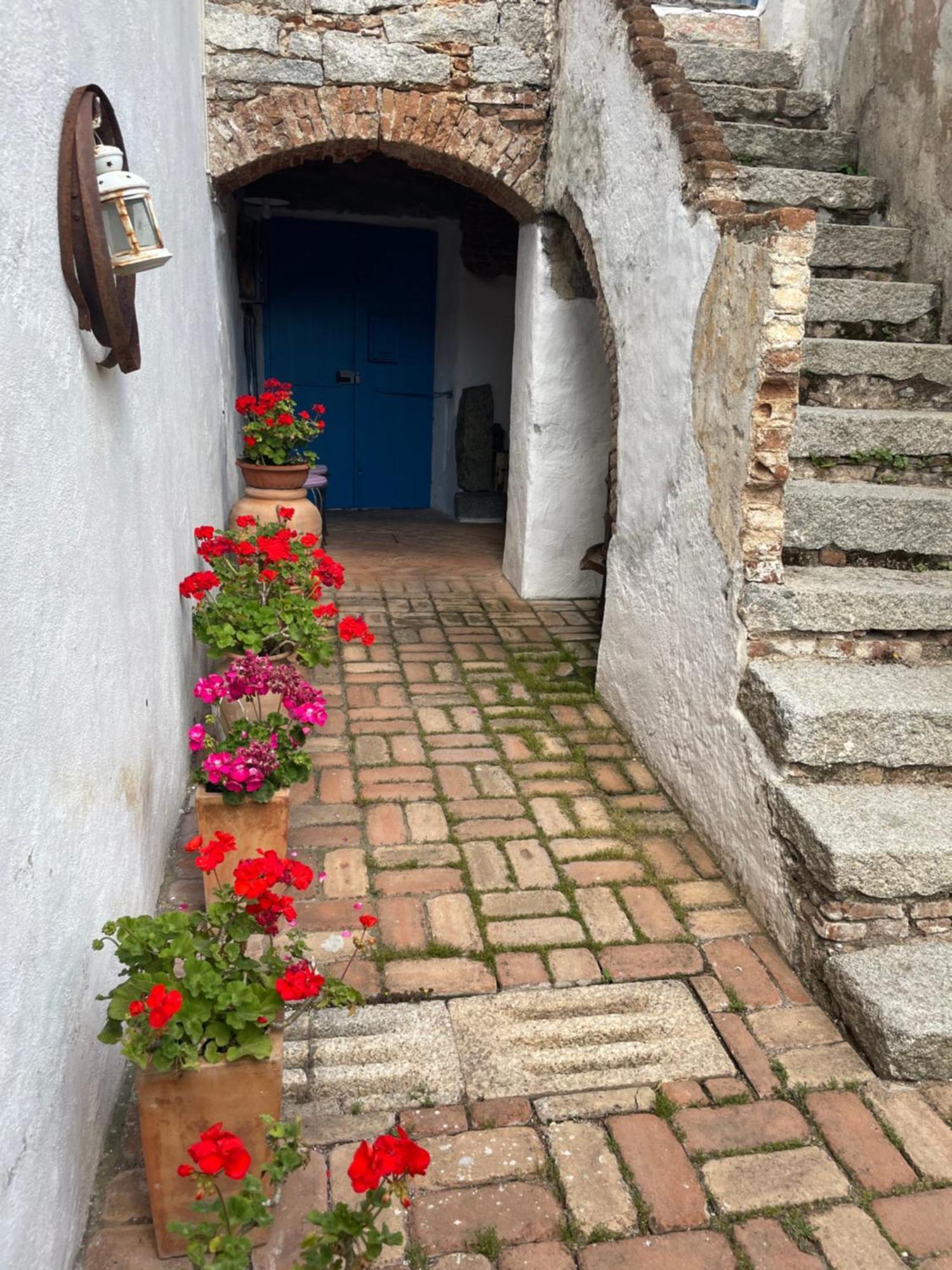 أوليينا B&B Corte San Lussorio المظهر الخارجي الصورة