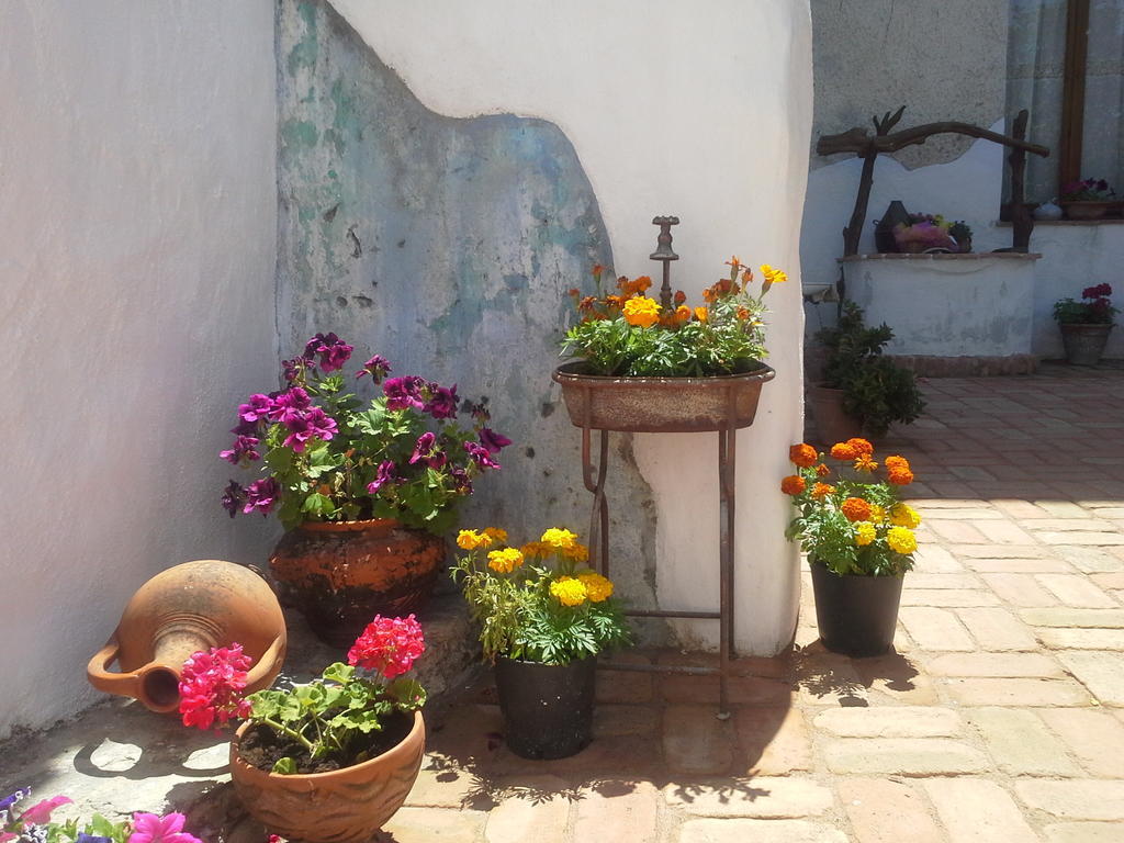 أوليينا B&B Corte San Lussorio المظهر الخارجي الصورة