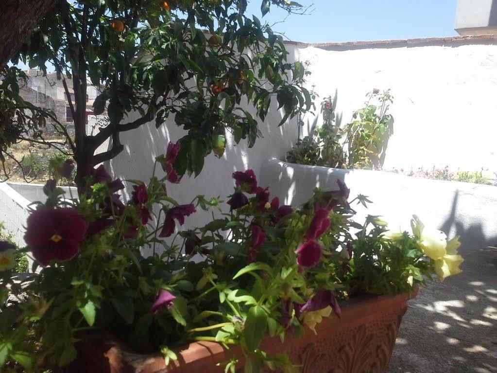 أوليينا B&B Corte San Lussorio المظهر الخارجي الصورة
